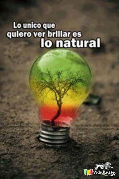 Lo-unico-que-quiero-ver-brillar-es-lo-natural.jpg