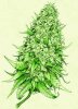 fe093e304bedb14591691fa5ab2da8d5--ganja-love-pretty-drawings.jpg