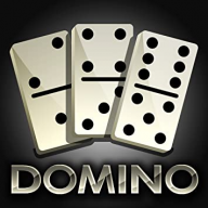 Domino_Support