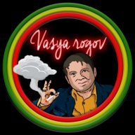 Vasya_rogov