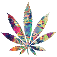 Cannabioid