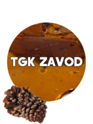 TGK ZAVOD