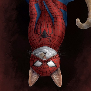 Kot_Spider-man_7318