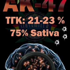 AK-47