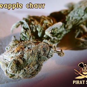 Шишки Pineapple chavr от магазина Pirat Salim