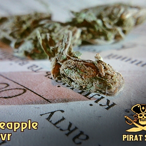 Шишки Pineapple chavr от магазина Pirat Salim