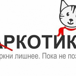 Котики