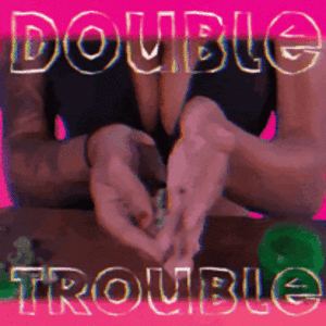 DoubleTrouble