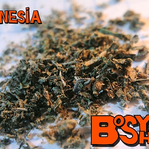 BOsyaK ShoP Amnesia битый шиш