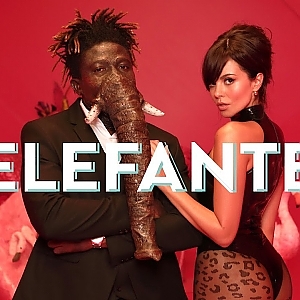 NK - ELEFANTE